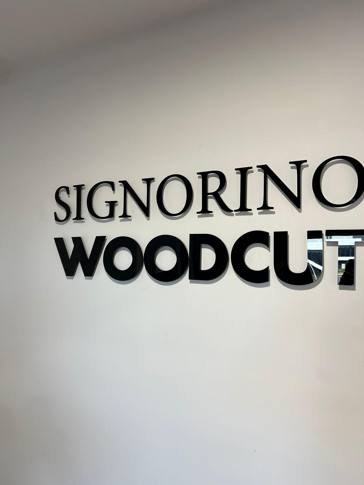 Custom Acrylic Letters | 3D Acrylic Letter Signs | Business Signage